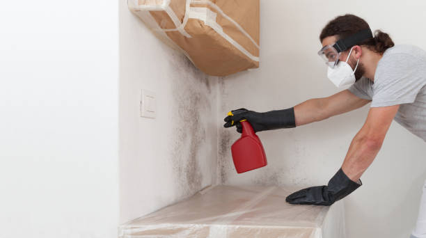 Professional Attic Mold Remediation technician working in Columbus, NJ