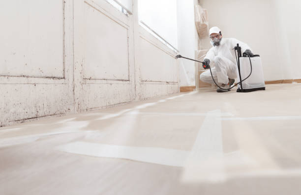 24/7 Emergency Attic Mold Remediation experts in Columbus, NJ