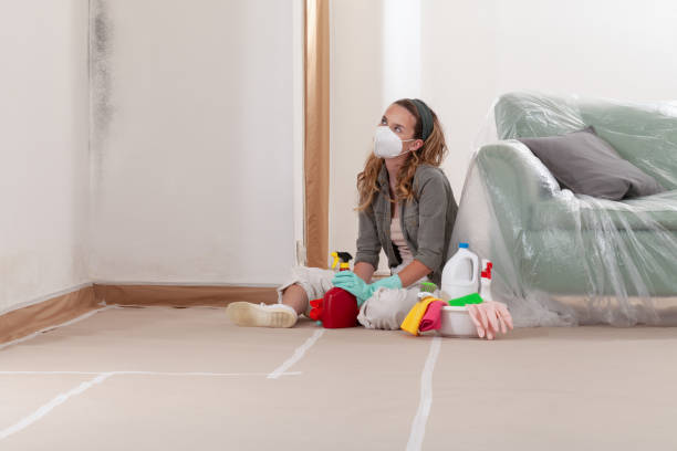Reliable Attic Mold Remediation contractor in Columbus, NJ by 24 Hour Mold Removal