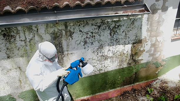 Top rated local Attic Mold Remediation specialists in Columbus, NJ